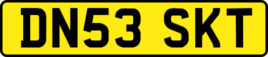 DN53SKT