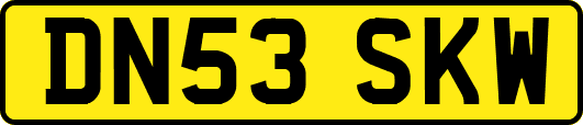 DN53SKW