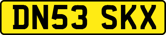DN53SKX