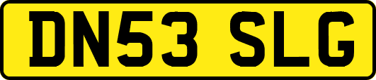 DN53SLG
