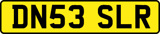 DN53SLR