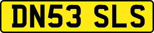 DN53SLS
