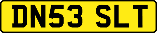 DN53SLT