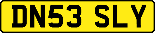 DN53SLY
