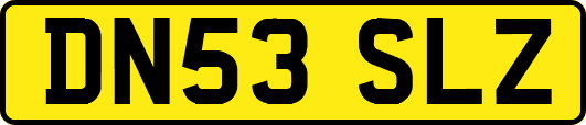DN53SLZ