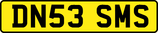 DN53SMS