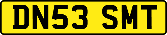 DN53SMT