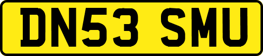 DN53SMU