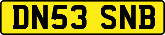DN53SNB