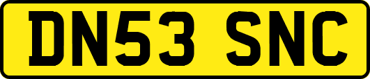 DN53SNC
