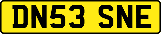 DN53SNE