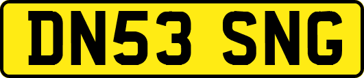 DN53SNG