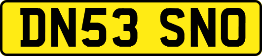 DN53SNO