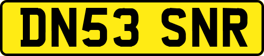 DN53SNR