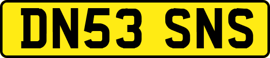 DN53SNS