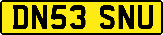 DN53SNU