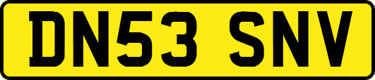 DN53SNV