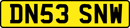 DN53SNW