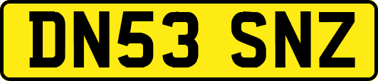 DN53SNZ