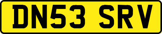 DN53SRV