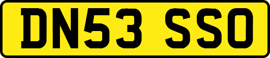DN53SSO