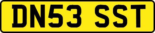 DN53SST