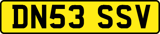 DN53SSV
