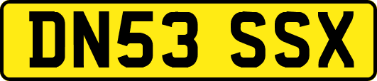 DN53SSX