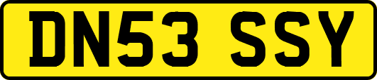 DN53SSY