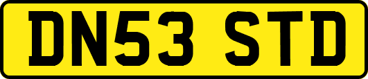 DN53STD