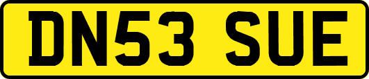 DN53SUE