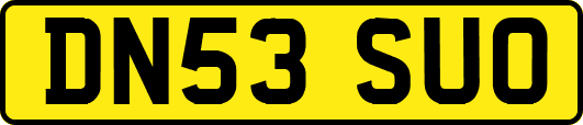 DN53SUO