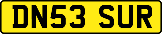 DN53SUR