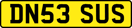 DN53SUS