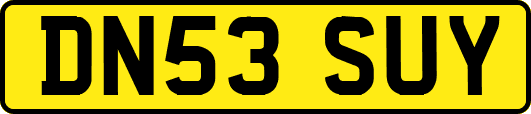 DN53SUY