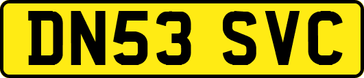 DN53SVC