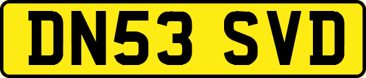 DN53SVD