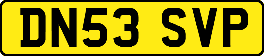 DN53SVP