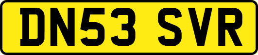 DN53SVR
