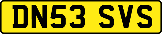 DN53SVS