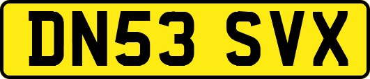 DN53SVX