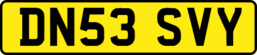 DN53SVY