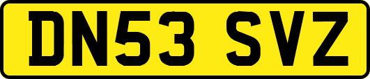 DN53SVZ