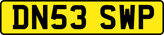 DN53SWP