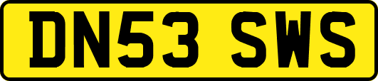 DN53SWS