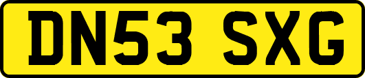 DN53SXG