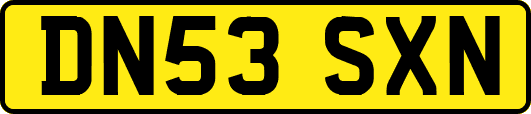 DN53SXN