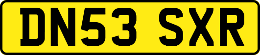 DN53SXR