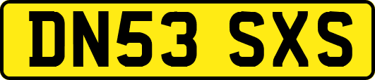 DN53SXS