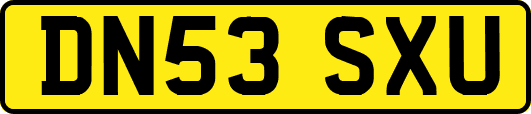 DN53SXU